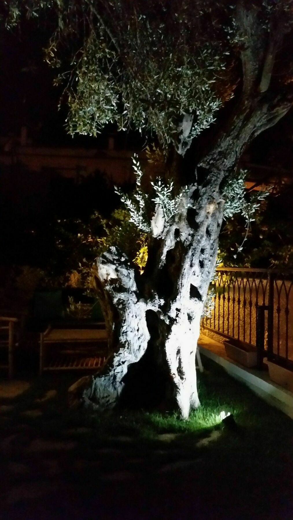 Cassiopeia Hotel Alacatı Bagian luar foto